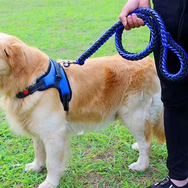 Tali Kekang Anjing Nilon untuk Anjing Ukuran Sedang Besar Tali Kekang Hewan Peliharaan untuk Latihan Lari Berjalan Aman untuk Pendakian Gunung Tali Pengikat Anjing