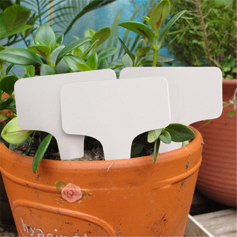 Plástico branco PVC Plant Labels, T-tipo Tags, Nursery Garden Labels, Seedling Bandeja Vasos Decoração, 6x10cm, 50 pcs, 100pcs