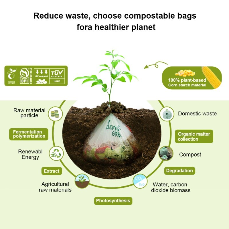 Bolsa de embalaje plegable de plástico Biodegradable para negocios, producto personalizado, duradero, superventas
