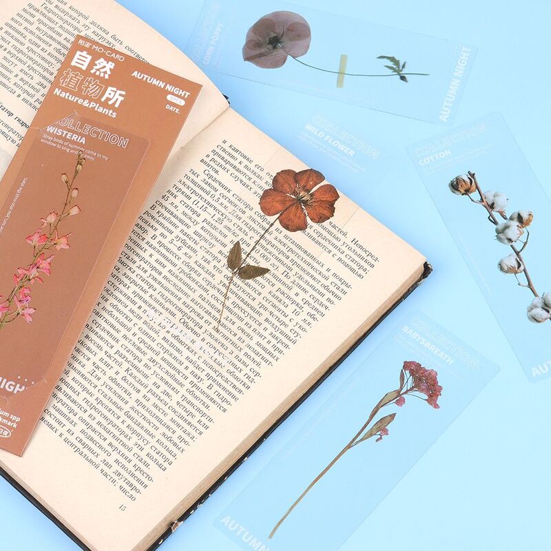 Marcapáginas translúcido para libros, marcador de hojas, hojas, flores, plantas, naturaleza, tarjetas, espécimen