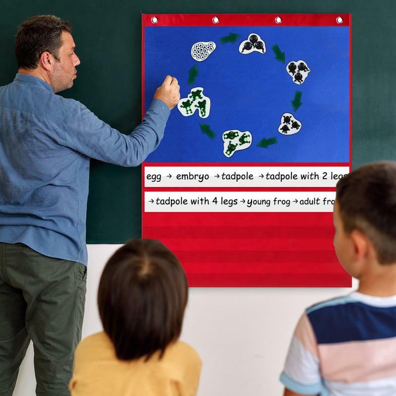 教室カレンダーポケットグラフ標準サイズのポケットグラフ、5つのポケットと15枚のドライイレースカード教室のポケットチャート