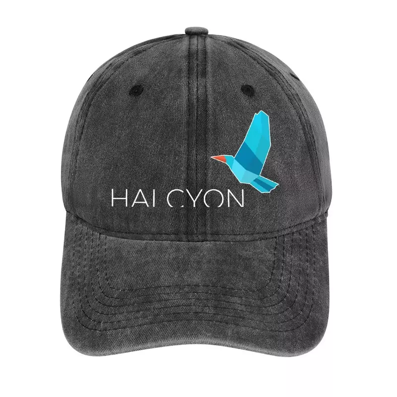 Halycon Logo topi koboi pria wanita, topi Hip Hop merek mewah