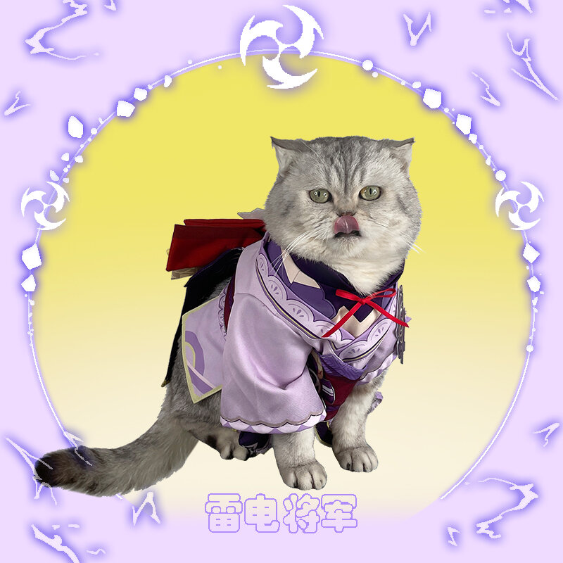 Anime Genshin Impact Raiden Shogun niedlichen kleinen Katze Kleidung Mantel Kostüm nehmen Foto Requisiten Hund Zubehör Cosplay Haustier liefert