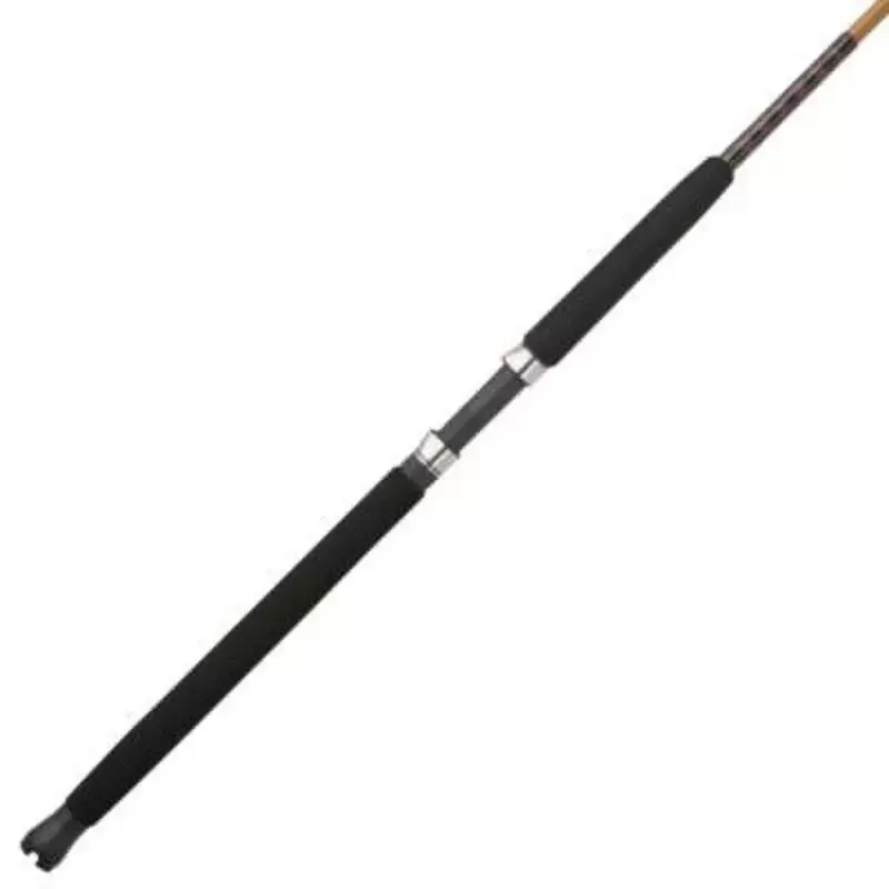 8 'Tiger Casting Rod All for Fishing Tools due pezzi Nearshore/Offshore Rod Goods articoli professionali carburo nuovi prodotti