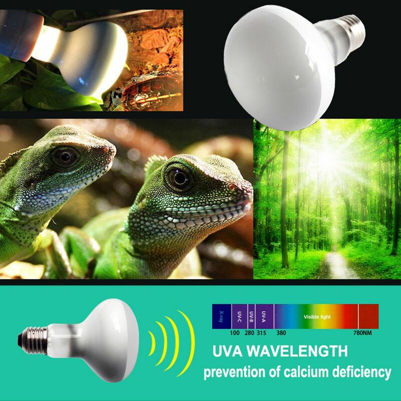 Lampu panas kadal, pengontrol suhu lampu Basking UVA lampu Halogen reptil
