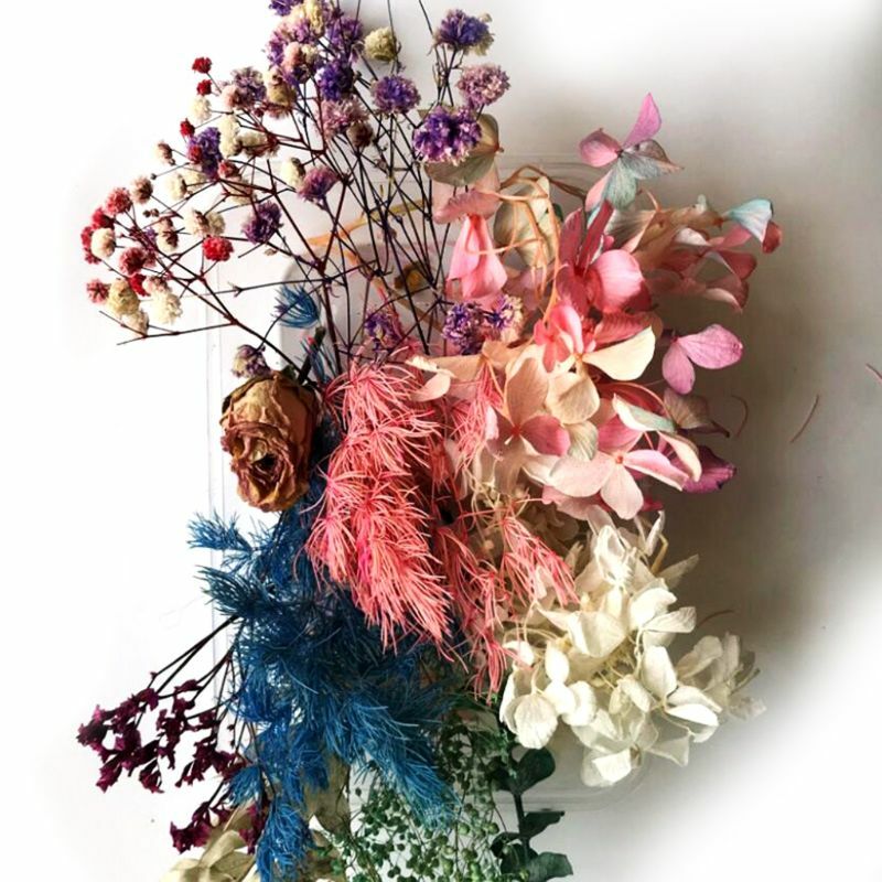 1 Kotak Bunga Kering Campuran Asli untuk Perhiasan Resin Tanaman Kering Aksesori Kerajinan Pembuatan Bunga Ditekan DIY