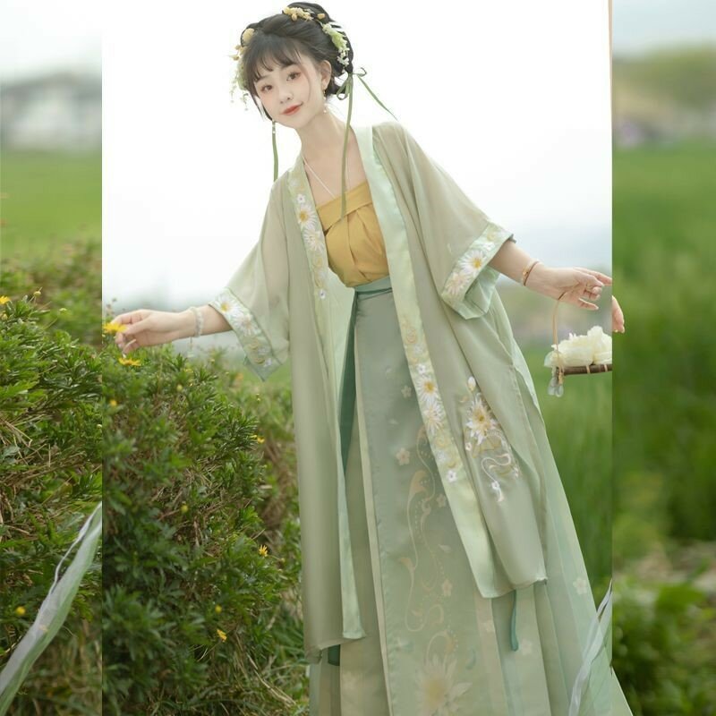 Verfolgung eines Traum gewebten Song-Stil Erwachsenen Frauen Han chinesische Kleidung bestickt langen trockenen Tempel Taille Rock