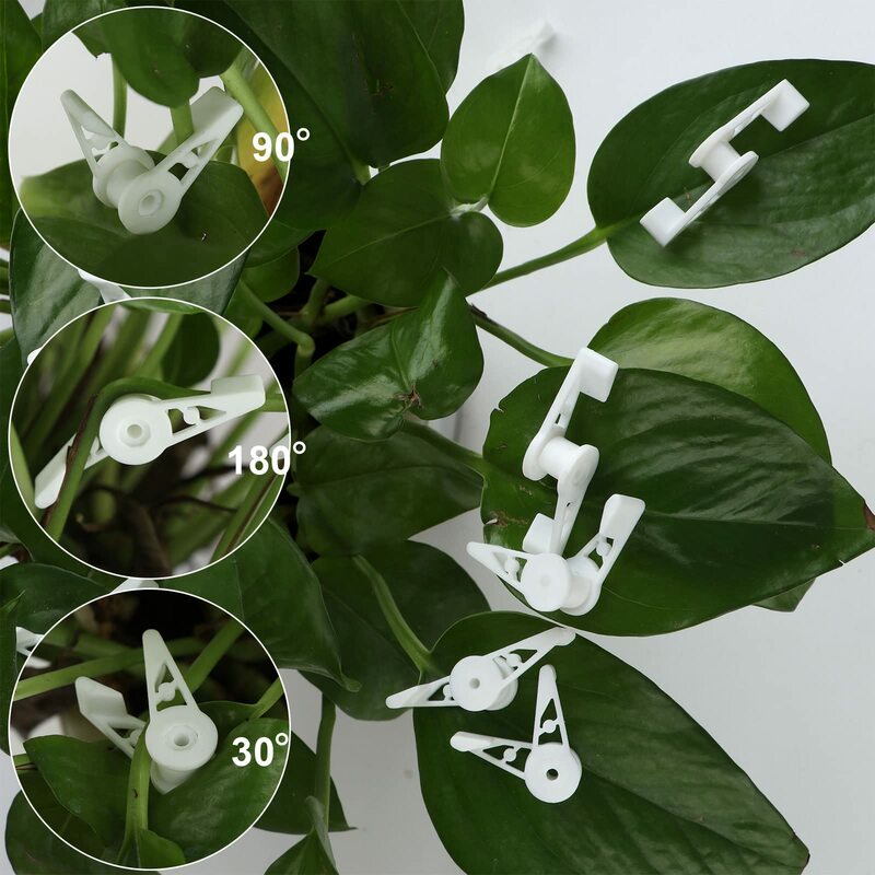 10 шт., пластиковые зажимы для растений, 360 градусов