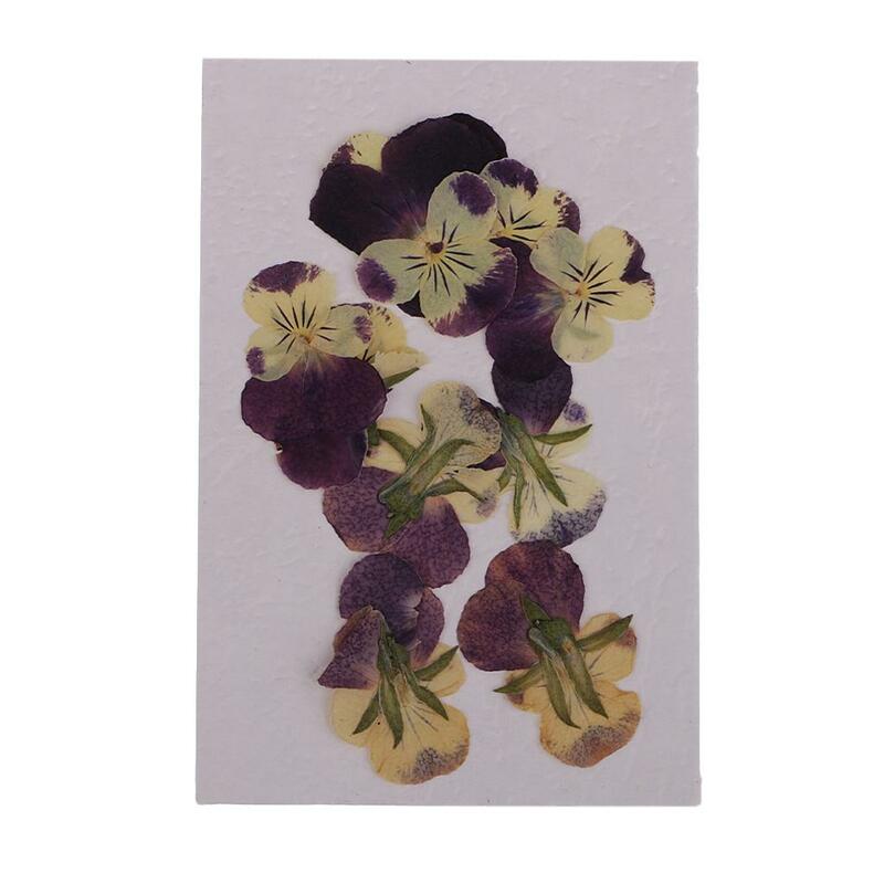 10 Dried Pansy Flower Embellishment resin Pendant Jewelry Craft