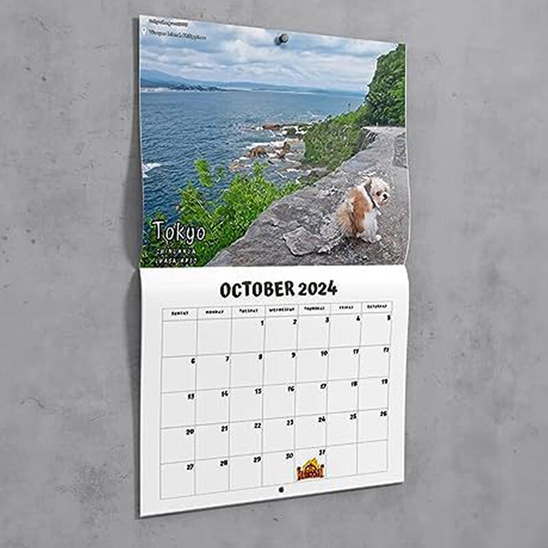 Zabawny pies kupujący kalendarz ścienny 2024 wyjątkowy prezent w kalendarzu dla przyjaciół rodziny sąsiadów krewnych bliscy