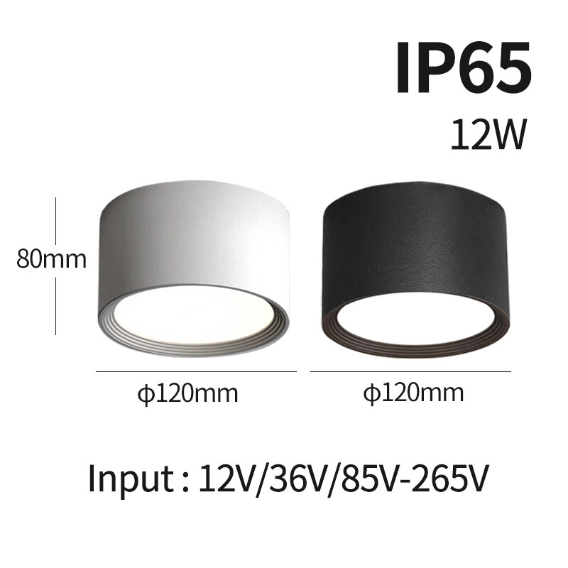 Spot Lumineux LED Imperméable Conforme à la Norme IP65, Éclairage d'Extérieur, Idéal pour un Plafond, une Véranda ou un délégations, 12V, 220/12W