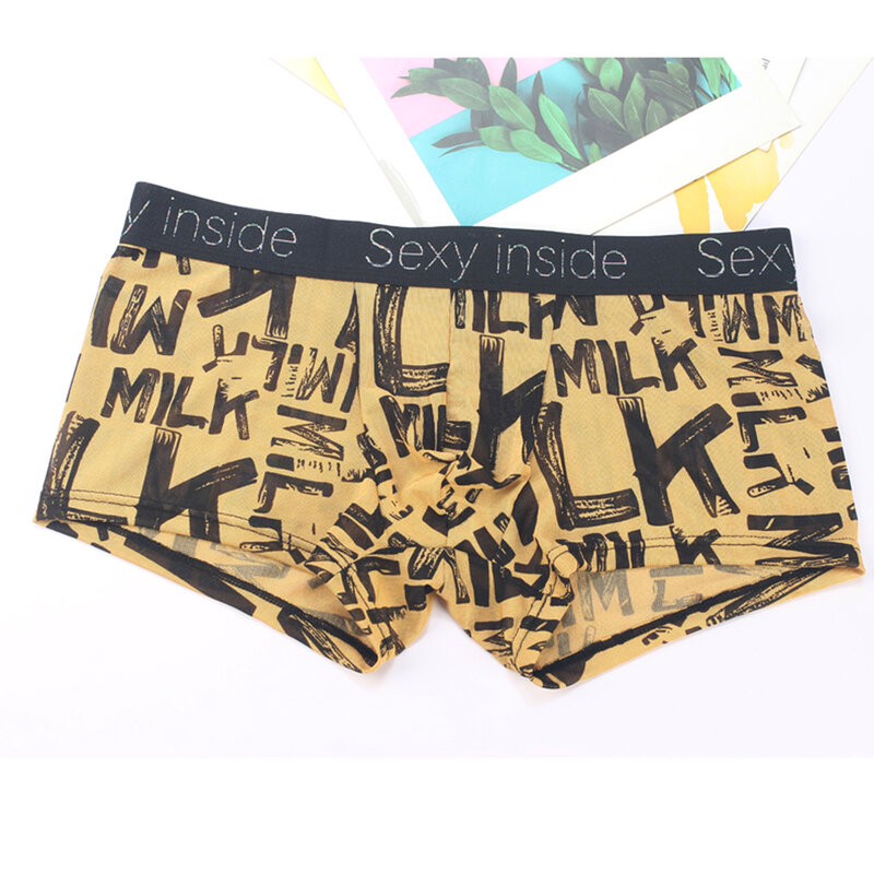 Underpant Bra Pantys Underpants Underwear Ice Silk Mesh Bikini Men's Boxer Briefs See Through Underwear Panties