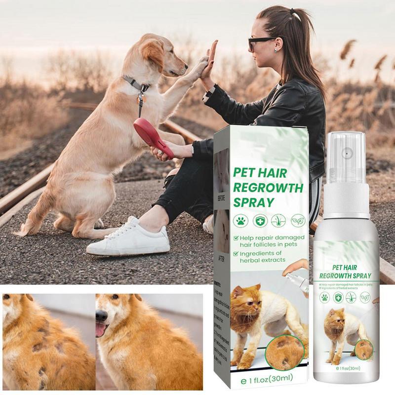 Detangler Spray para cabelos emaranhados, cabelo deixar, Pet Supplies para cães e gatos, incentiva