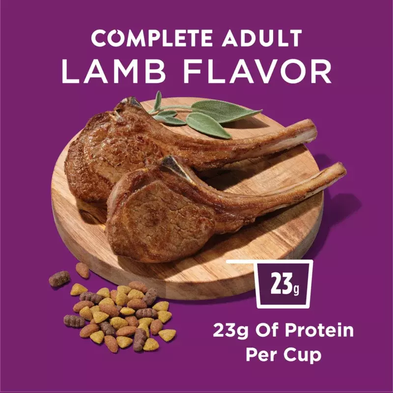 Purina Dog Chow High Protein Real Lamb Flavor Dry Dog Food, 44 lb Bag