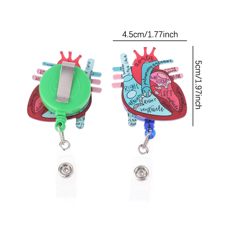 Anatomical Heart Diagram Retractable Badge Reel, Monitor Tech Nursing ID Badge Clip Telemetry Cardiology Nurse Badge Holder,