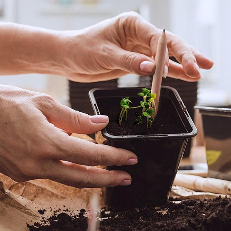 Nuova Idea da 4 pezzi Set di matite per la germinazione per far crescere la matita Mini fai da te Desktop pianta in vaso regali speciali matita artistica materiale scolastico