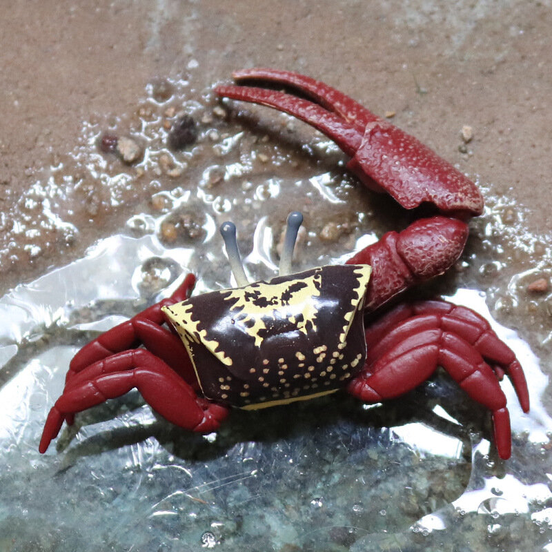 2022 Ocean Simulation Crab figurine Collection Sea Life Hermit Crab Lobster Stingray Model Action Figure animali marini giocattolo per bambini