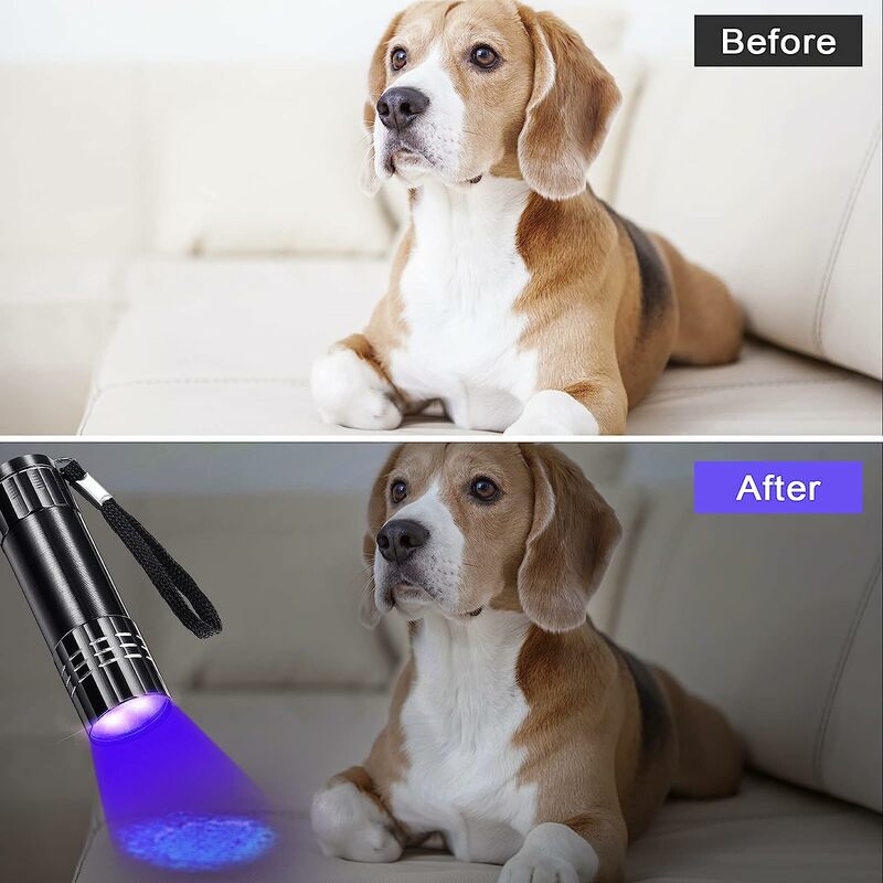 UV 손전등 블랙 라이트 손전등, 자외선 램프, UV 토치, 반려동물 소변 얼룩 건조 얼룩용 UV 광 검출기, 395-400nm