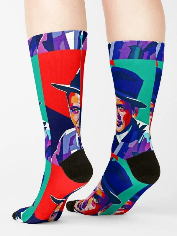 Calzini poster di Sinatra escursionismo cartone animato regali divertenti calzini da donna da uomo