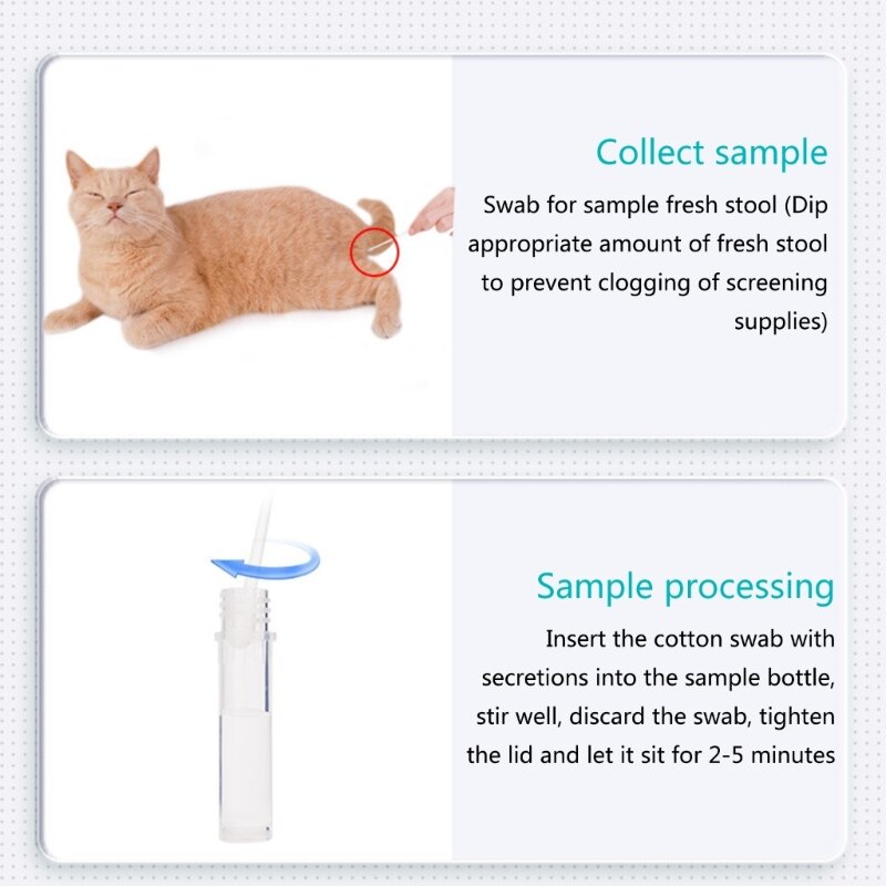 Kattenhondenziekte Parvovirus Detectiekaart Huisdier Cdv Fpv Cpv Ccv Teststrip Hondengezondheid Detectie Papier Ziekte Test Papier