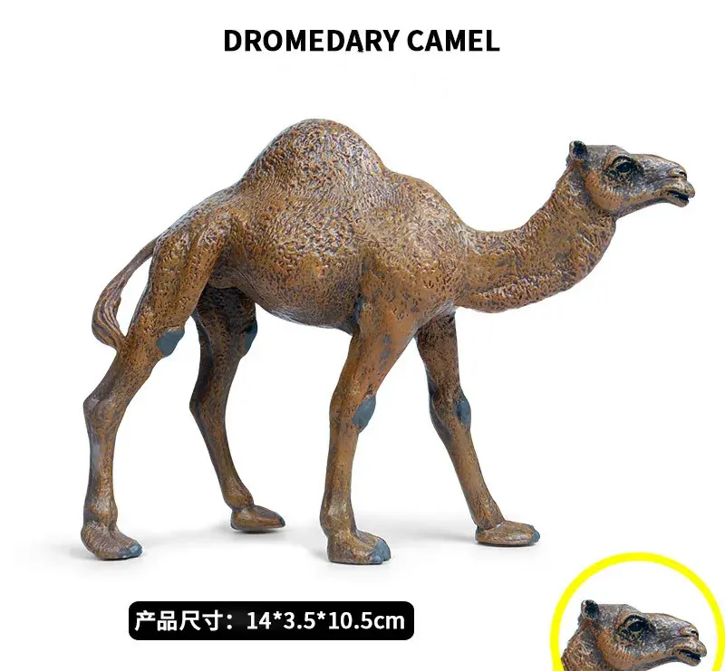 Figurine de chameau dromallique en PVC, simulation d'animal sauvage, Collection de modèles de chameau, jouet pour enfants, décoration, cadeau éducatif