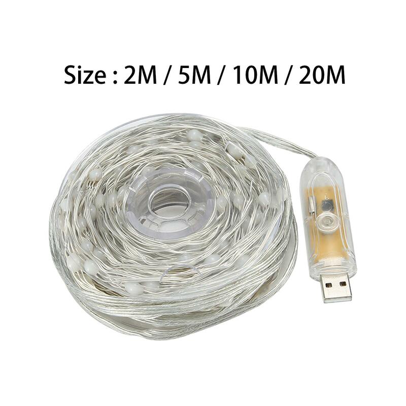 LED String Light with Remote for Holiday Valentine's Day Decoration Birthday