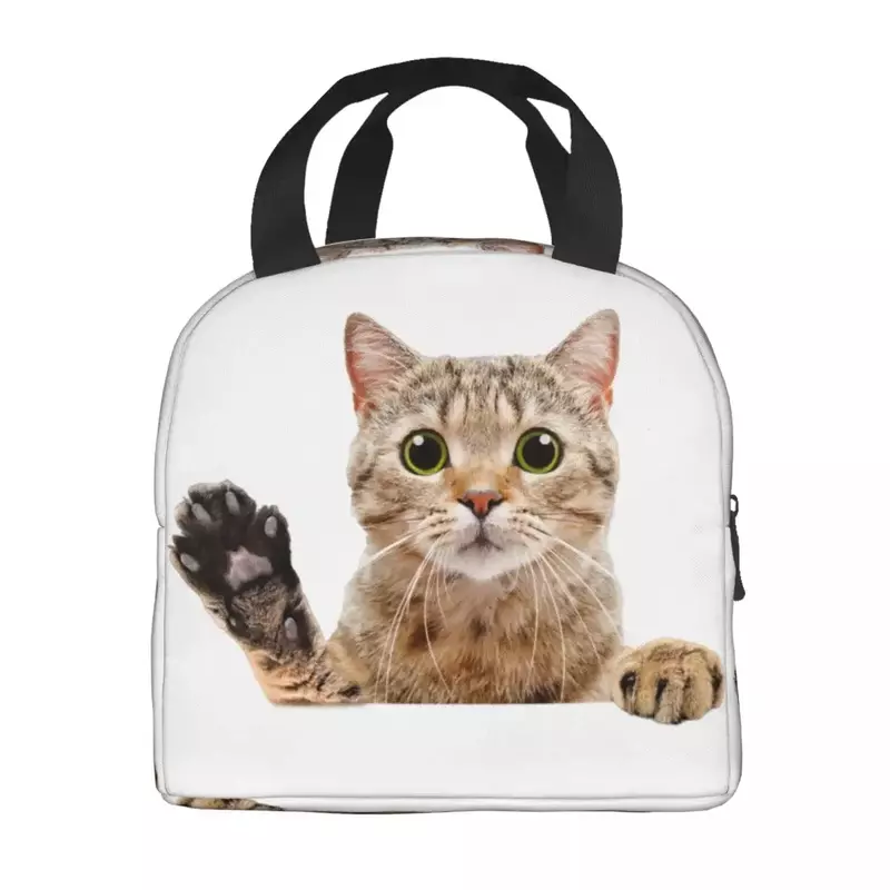 Niedliche schottische Katze späht Lunch Bag auslaufs ic heres Picknick isoliert warm kühler thermische Lunchbox für Frauen Kinder Tote Container