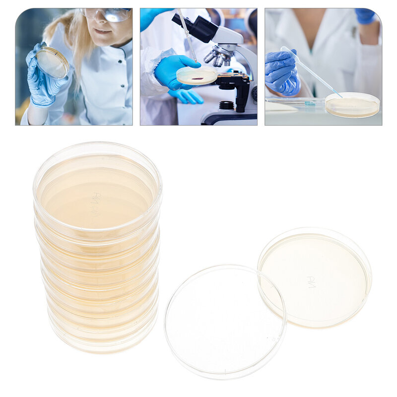 10pcs Prepoured Agar Plates Agar Petri Dishes Tissue Culture Plate Agar Plates Laboratory Science Experiment Supplies