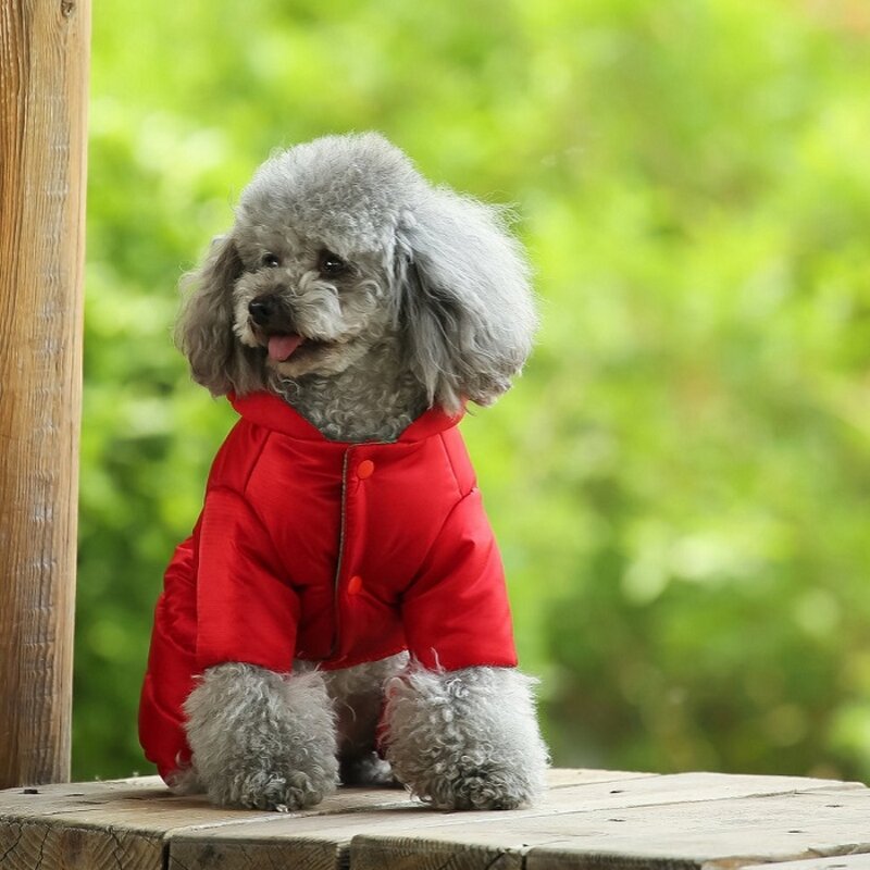 Зимняя теплая пуховая куртка для собак, костюм для домашних питомцев, костюм для щенка, толстовка с капюшоном для четырех ног, одежда для Тедди, большие лыжные костюмы