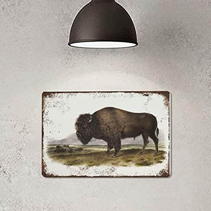 Bison Print Antique Animal Painting Vintage Drawing tin Sign Wall Art Decor American Bison Animal Print Vintage Style Wall Decor