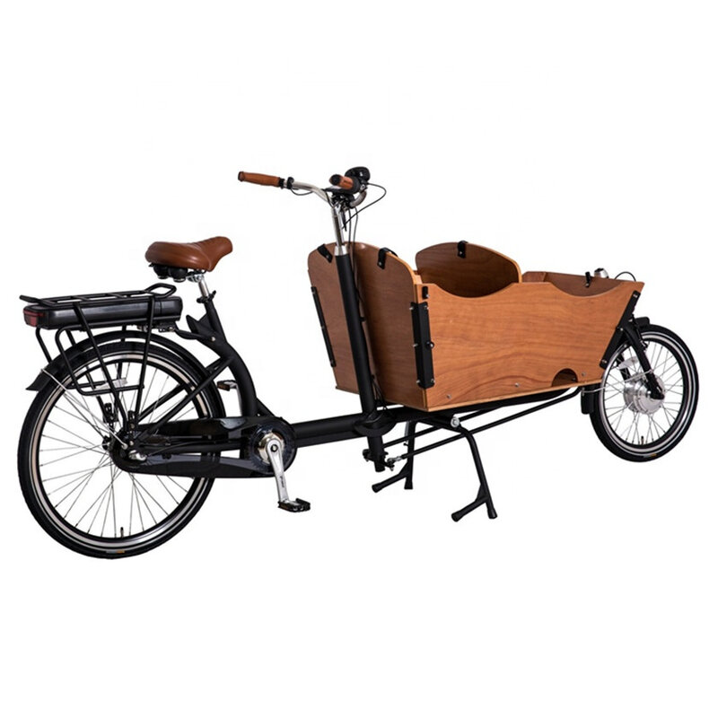 Vélo Cargo Électrique à 2 Roues pour Enfant, Bicyclette Familiale