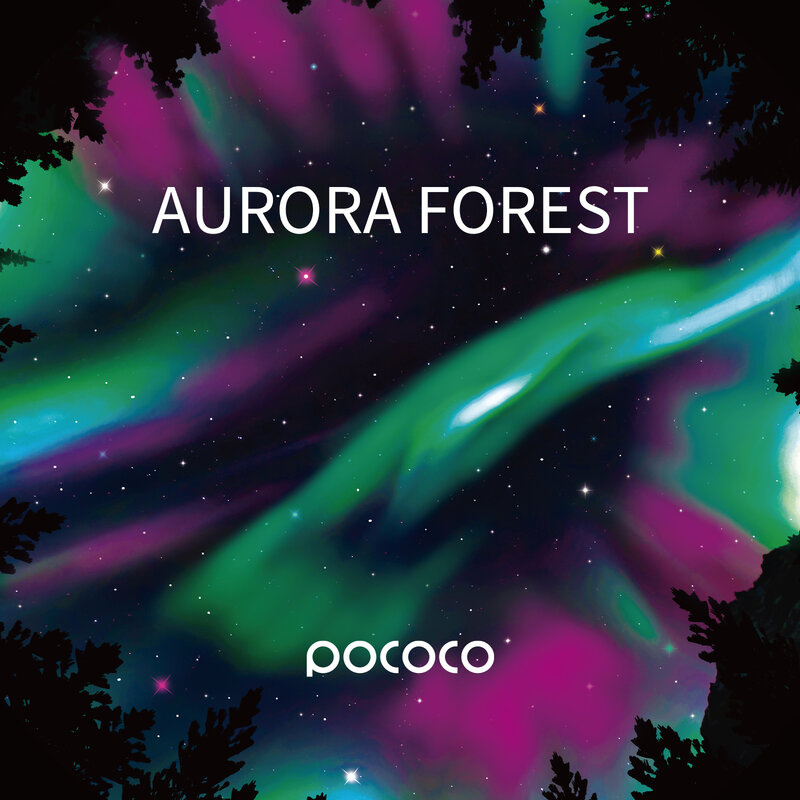 Aurora i głębinowe dyski do projektora galaktyk POCOCO, 5k Ultra HD, 6 sztuk (bez projektora)
