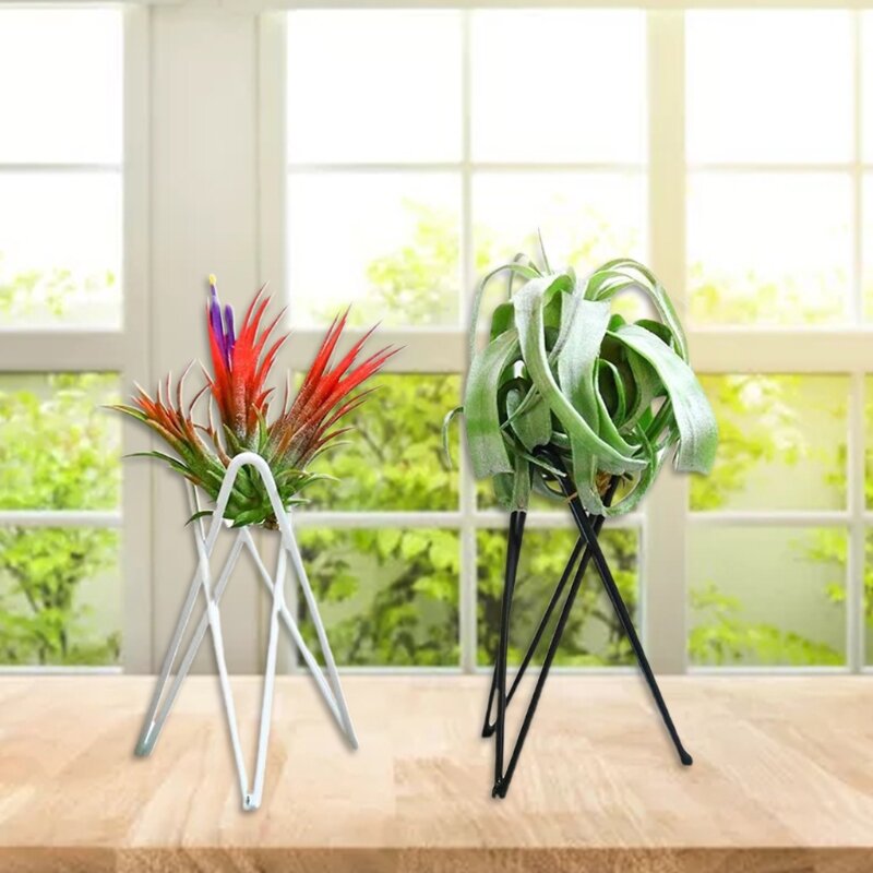 Nordic Air Plant Holder Metal Flower Pot Stand Geometric Iron Tillandsia Holder Art Display Home Garden Ornaments