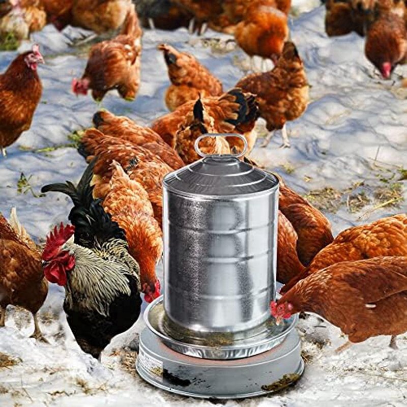 Aquecedor de água para frango, aquecedor de aves domésticas, base aquecida, aquecedor de água para animais, durável, 125 W, inverno