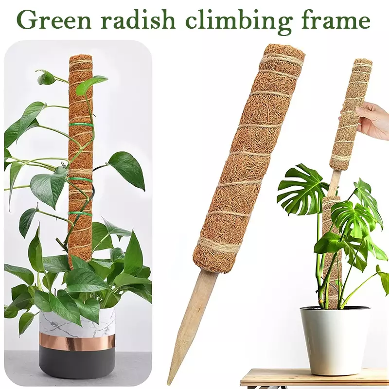 Bastone da cocco per giardinaggio sicuro per palo da Totem in cocco per piante rampicanti supporto per piante rampicanti