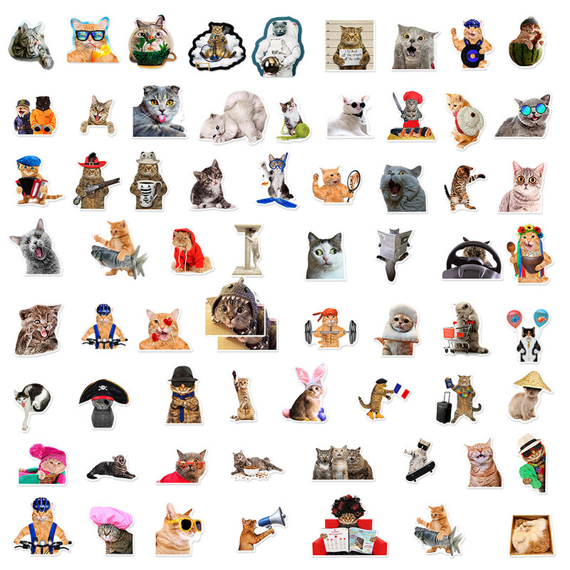 Pegatinas de gato MEME para ordenador portátil y motocicleta, calcomanías Kawaii de dibujos animados de animales, pegatinas impermeables, 10/30/66 piezas