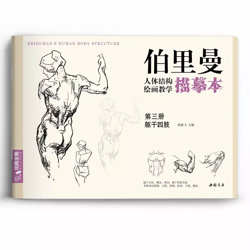 Character Sketch Drawing Structure Tutorial Learning Book Drawing Body Structure Teaching Tracing Book