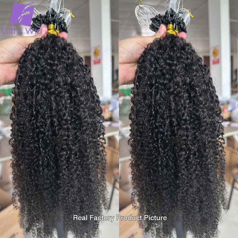 Afro Kinky Curly Micro Loop Extensions Double Drawn Micro Ring Loop estensioni dei capelli estensioni dei capelli Microlink dei capelli umani 3C