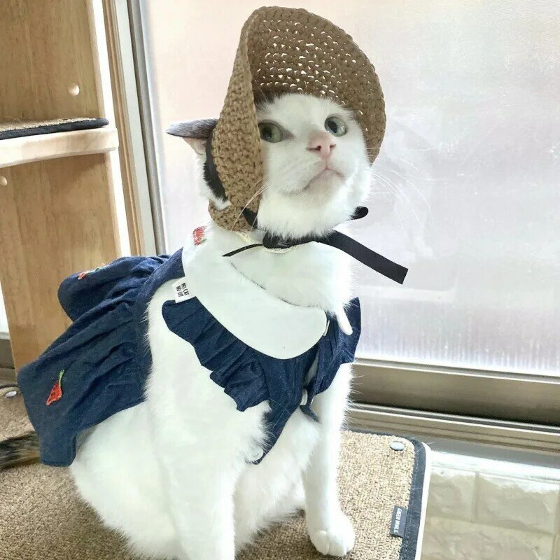 귀여운 반려동물 레이스 스카프 투피스 슈트, 고양이 개 태양 모자, 2023 신제품, 여름