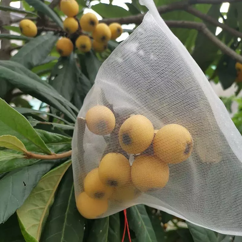 La frutta protegge la borsa a rete borse per la coltivazione di piante vegetali rete per piante da giardino rete Anti-uccello per il controllo dei parassiti del frutteto agricolo