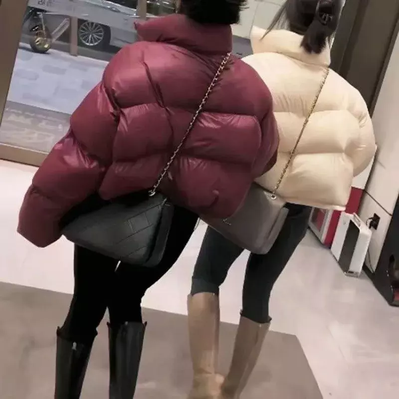 女性のための厚手の綿パッド入りパーカー,スタンドカラーの十分なふくらんでいるコート,黒の女性の服,韓国のファッション,暖かい冬