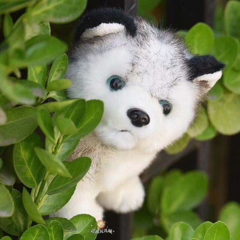 Muñeco de peluche de perro Husky, juguete de simulación de perro Husky, Lobo, peluche suave, regalo de cumpleaños