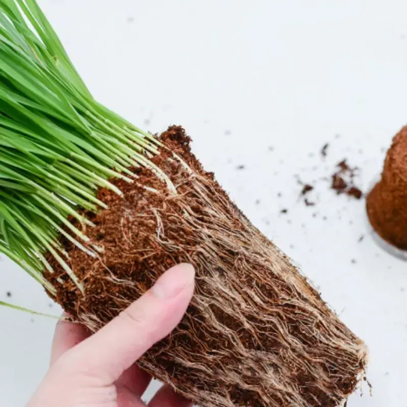Natürliche Kokosfaser-Scheiben, runde Steine ​​für Heim- und Gartenaquarien