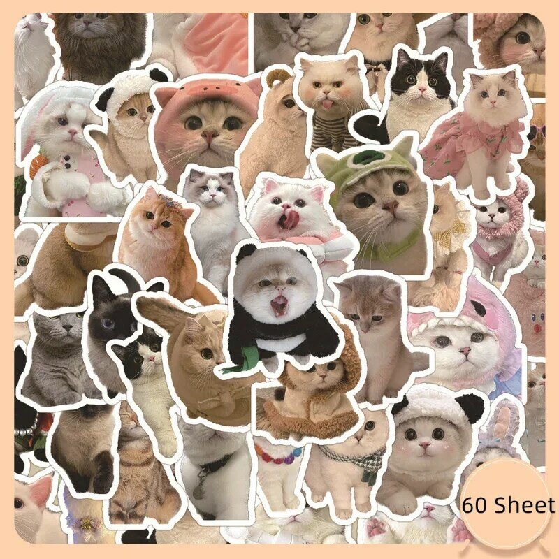 60 Sheet Kawaii Cat Sticker Real Shot Lovely Kitten Sticker DIY Stationery Decorative Scrapbook Phone Sticker Student Supplies