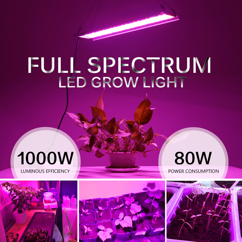 Lampu Tumbuh LED 1000W Spektrum Penuh AC85-265V 80W Lampu Tanam Tahan Air Phytotall untuk Tanaman Dalam Ruangan Rekayasa Tenda Rumah Kaca