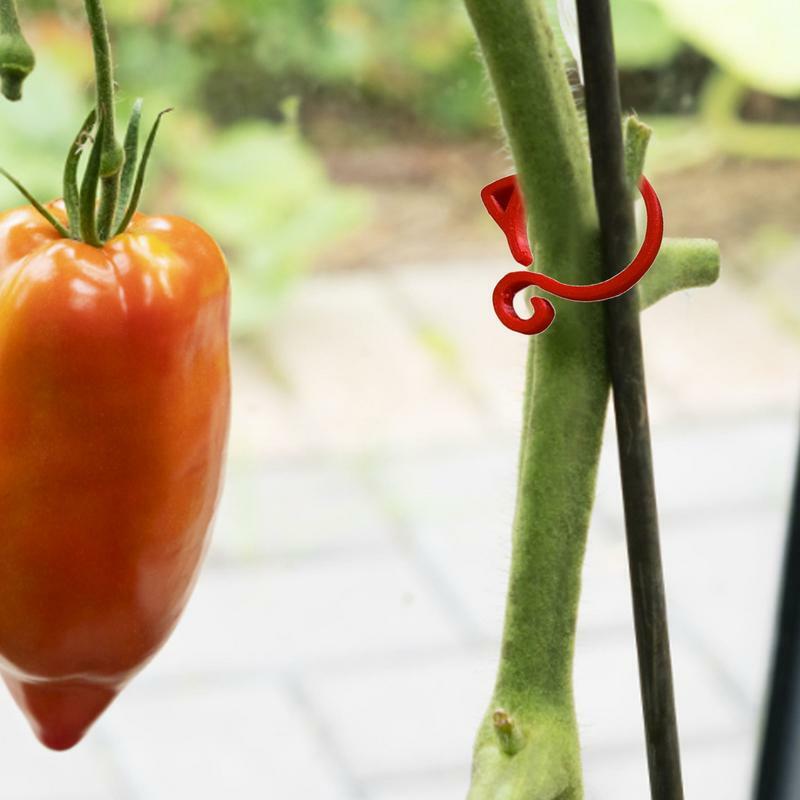 Tomato Clips For Climbing Plants Cat Shaped Plant Support Clips Gardening Plant & Flower Lever Loop Gripper Clips Gardening