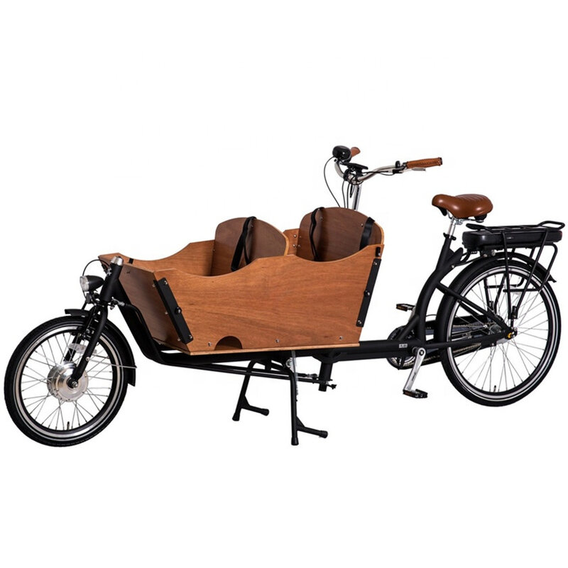 Rower towarowy dla zwierząt domowych 2 rower elektryczny cykl rodzinny dla dzieci 3 miejsca