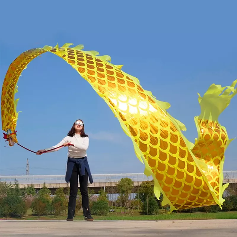 Dragon Fitness líder 3D, doble cara, estampado dorado en 7 colores, cuerda al aire libre, cinta de columpio, rendimiento de escenario Wu largo, 6 M, 8 M, 10M