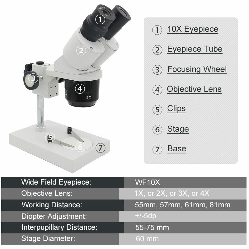 10X 20X 30X 40X Binocular Stereo Microscope Industrial Microscope with WF10X Eyepiece for Smartphone Clock Inspection