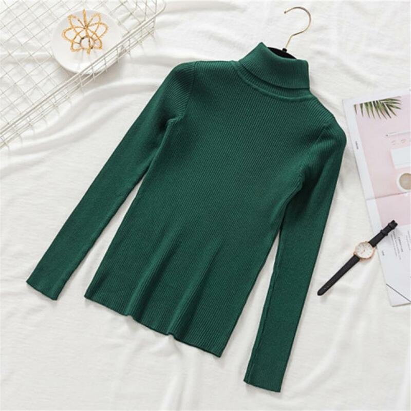 Commuter Style Sweater Ladies Sweater Cozy Chic Slim Fit High Collar Knitted Sweaters for Women's Fall Winter Wardrobe